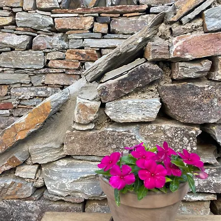 Couette-café Tzia Blue 3*