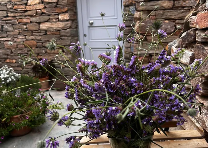 Bed & Breakfast Tzia Blue